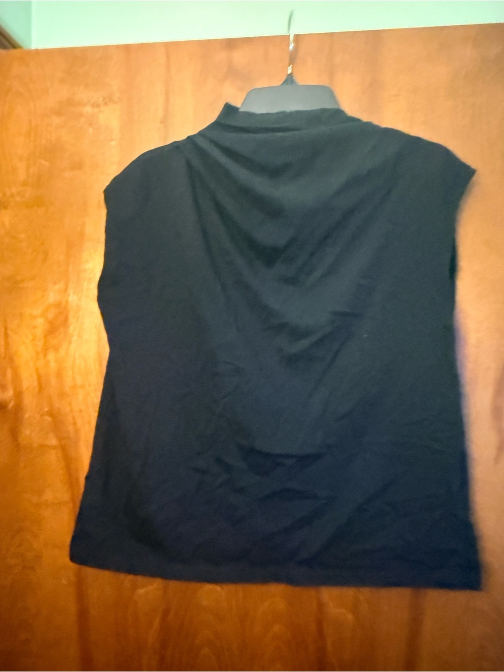 Zara Black Sleeveless Mock Neck Tank Top